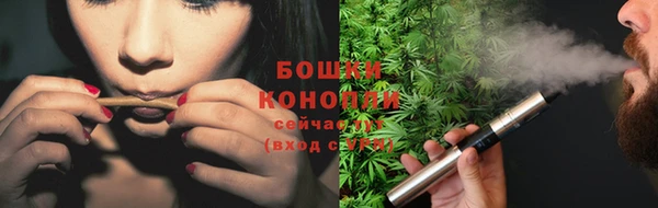 шишки Киреевск