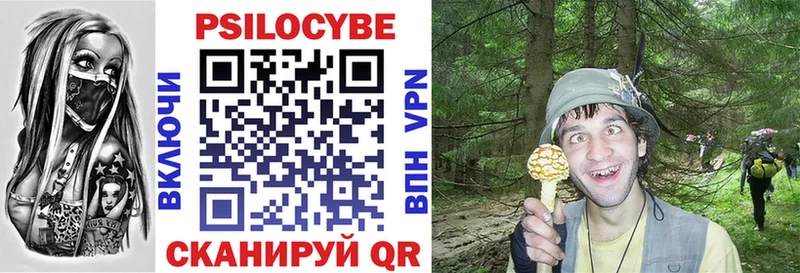 дарнет шоп  Канск  darknet официальный сайт  Галлюциногенные грибы MAGIC MUSHROOMS 